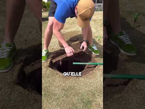 Ce Jardinier a Choqué Internet 😮