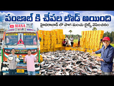 పంజాబ్ కి చేపల లొడ్ అయింది🚛 హైదరాబాద్ లొ పొగ మంచు లైట్స్ వెపించినం💡