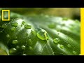 Water Conservation Practices and Knowledge