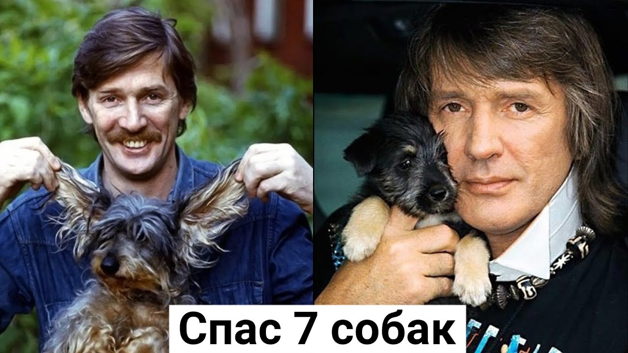 Как Александр Абдулов спас 7 собак от смерти