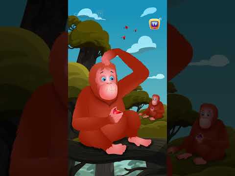 Asian Elephant Song, Orangutan, Bonobo #Shorts #ChuChuTV #KidsSongs #animalshorts #endangeredanimals