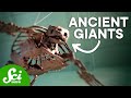 Giant Creatures of the Past