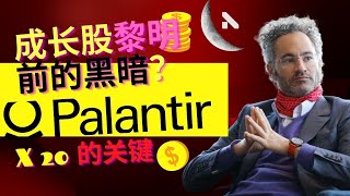 ✨成长股恐慌继续升温- Palantir - 亮肌肉？20倍的关键✨ #美股投资 #美股 #PLTR #Palantir