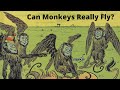 Becky's Passion for Primates
