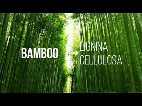 Silca calze in fibra di bamboo