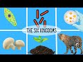 Plant and Microorganism Biology Concepts
