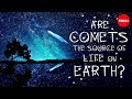 Comets and Their Connection to Life on Earth