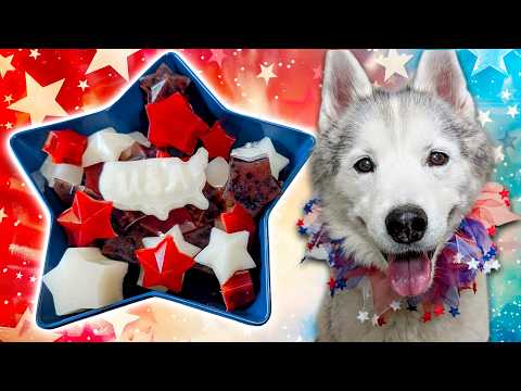 The ULTIMATE Patriotic Dog Treat Recipe! 🎆 DIY Gummy Dog Treats For 4th of July