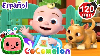 Vamos a la tienda de mascotas con Bingo 🐶 Caricaturas infantiles | Moonbug en Español - Cocomelon