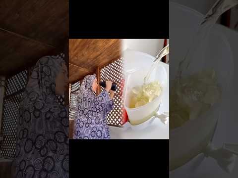 الجاره الفضوليه الحشوره 3 - العيله الاردنية #shorts