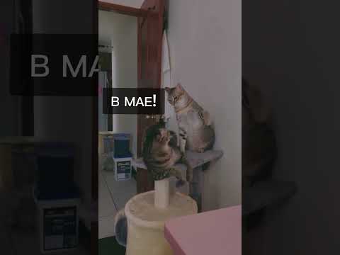 Народная примета "Май - мягкие окна покупай". Пора купить мягкое остекление, лето уже на носу!#юмор