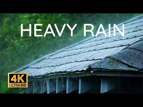 HEAVY RAIN on Tin Roof to Sleep | Rain Sounds for Sleeping - for Insomnia, Study, Relaxing