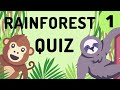 Rainforest Animal Identification and Engagement