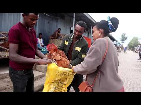YouTube video thumbnail: Ethiopians Tackle Food Prices With Small-Scale Poultry Farms