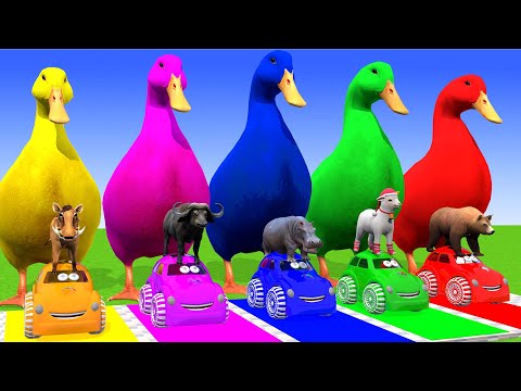 5 Giant Duck & Wild Animals Cage Game Cow Gorilla Rhinoceros Elephant Sheep Crossing Fountain