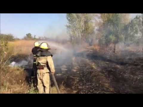 Криничанські рятувальники ліквідували пожежі в екосистемах 