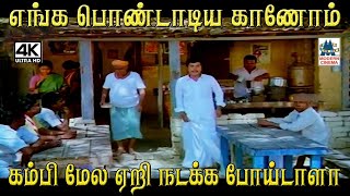 எங்க பொண்டாட்டிய காணோம் கம்பி மேல ஏறி நடக்க போய்டாளா #Paandi Nattu Thangam Movie Comedy #Senthil