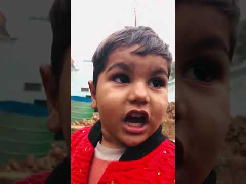 छोटा पैक बड़ा धमाका😂🦜 #funny #shorts #Inayashadab3786