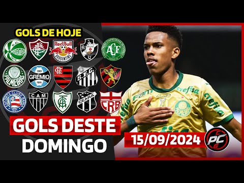 ⚽️ TODOS OS GOLS DESTE DOMINGO 15/09/2024 GOLS DE HOJE, GOLS DO DIA, GOLS DO BRASILEIRÃO (COMPLETO)