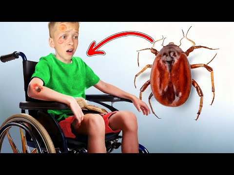 🚑 MIRCEA PLÂNGE 😭 de URGENȚĂ la SPITAL 🚨 Două CĂPUȘE sub piele 🕷️