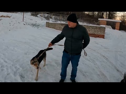 Поездка на премию DIY блогер, Вере отменили операцию и огород на окне