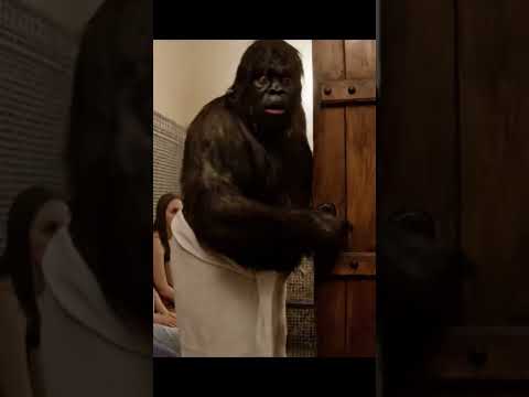 دخلت حمام العيالات ياربي سلامة 🤣🤣🤣