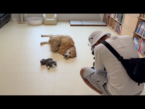 방송국에서 동물농장 찍으러 왔다가 그냥 돌아갈 뻔한 이유 ㅋㅋㅋ