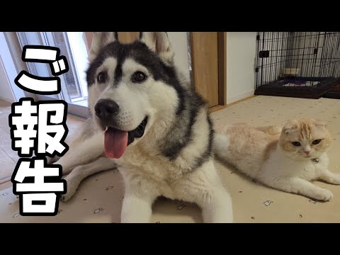 悲しいご報告...