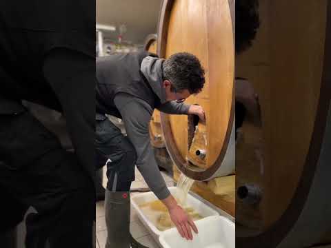 Huge Barrel Emptying ??@weingutheindel