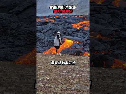 절대로 이 땅을 밟지 마세요