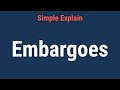 Impact and Criticism of Embargos