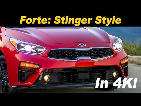 2019 Kia Forte - Is it the Stingers Mini-Me?