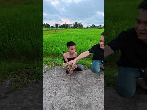 Trận chiến vì tinh tú giữa iphone và samsung ! #shorts
