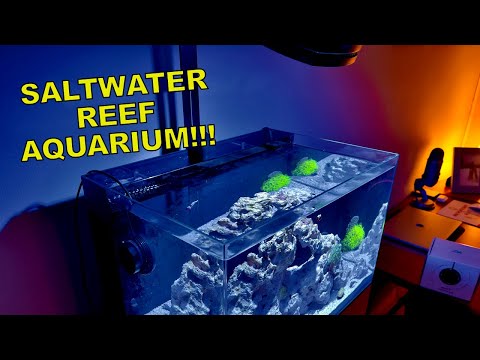 key product for marine aquarium 3 3.0