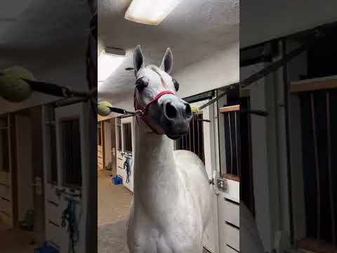 13 ноября 2025 г.