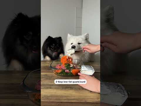 Dogs Make Birthday Cake 🐶🎂🎉