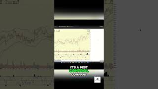 Ignore the Name — This Chart Is Filthy Bullish