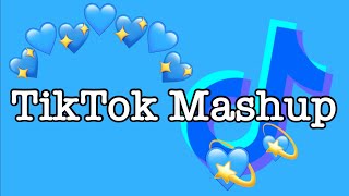 TikTok Mashup February 2022 (not clean)
