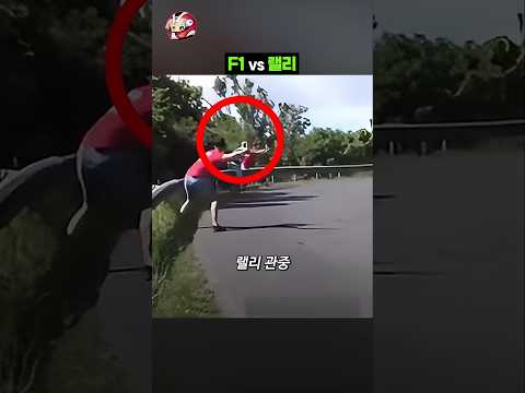 f1 vs 랠리 위험상항을 알리는 방법