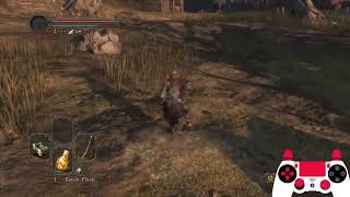 Dark Souls 2 - 3 New ways to get Infinite Stamina (Input display)