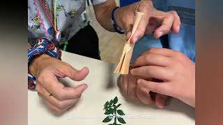 Donde florece la creatividad Taller de Reciclado Creativo - Día Mundial del Medio Ambiente, Valencia