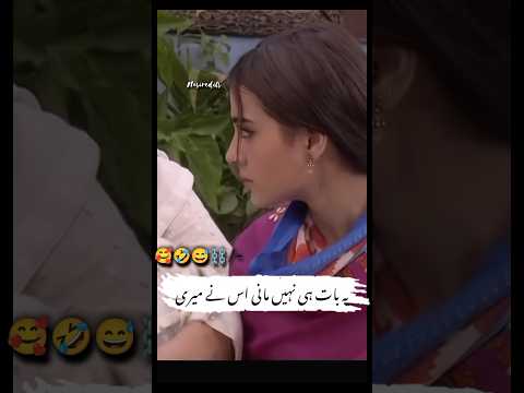 Nuri ny bole ki kya baat nahin Mani #pakistanidrama #todaydrama #funnyclip #humtv #arydigital #yt