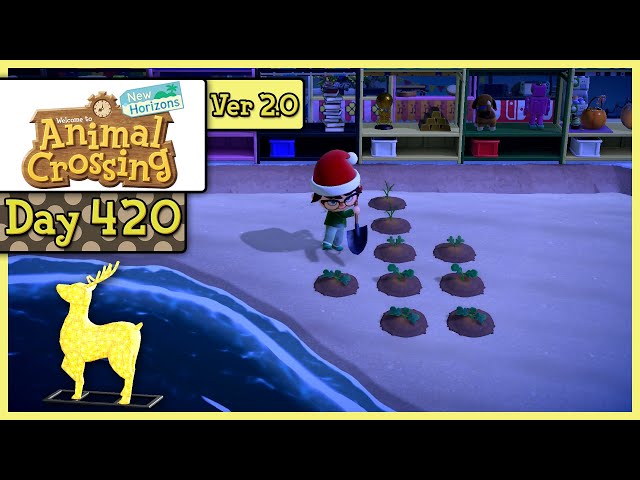 Animal Crossing: New Horizons - Day 420 - The Next Pursuit!