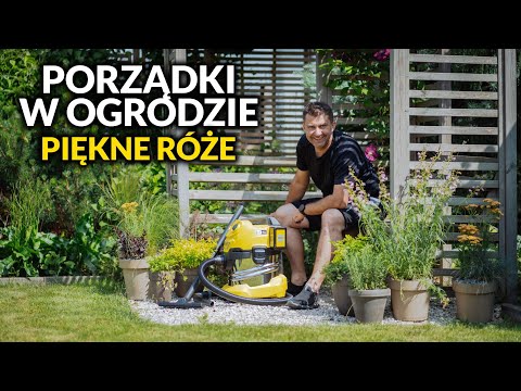Super róże w ogrodzie oraz przygotowanie tarasu  i altany do lata. Super odkurzacz od Karcher
