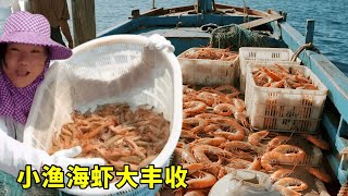 頂著巨浪出海！收網瞬間驚呆：滿網大蝦瘋狂蹦跳！發財！ 【漁小仙】