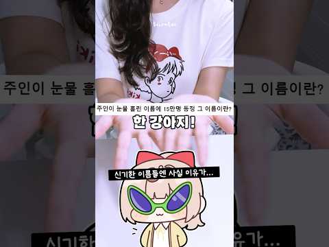 일본 한 강아지의 본명에 사람들 반응이…😭