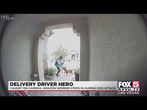 'Hero' delivery driver steps in during dog attack in the northwest Las Vegas Valley