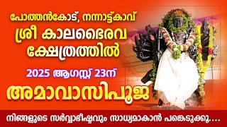2025 ആഗസ്ത് 23ന് കാലഭൈരവ ക്ഷേത്ര സന്നിധിയിൽ അമാവാസി പൂജ...   #kalabhairavatemple   #amavasipooja