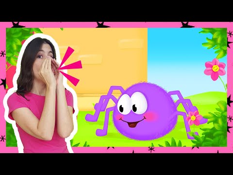 ¡Muévete con el baile de Itsy Bitsy araña! | canciones infantiles | Titounis