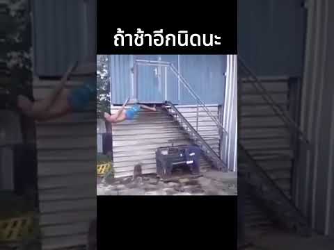 เลี้ยงหมายังไงให้ได้กล้าม #mightymax  #memes  #คลิปตลก